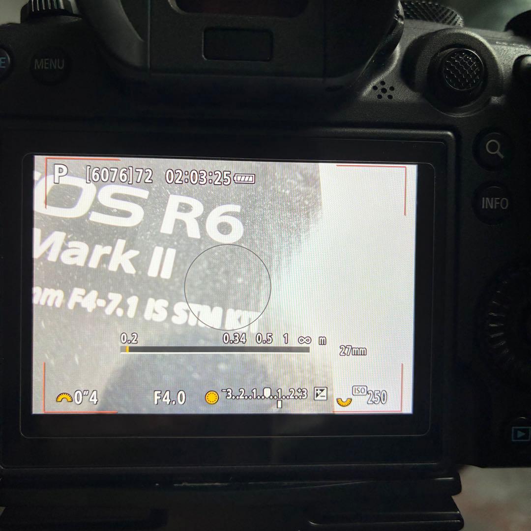 キヤノン R6 Mark II 2 純正バッテリ2個