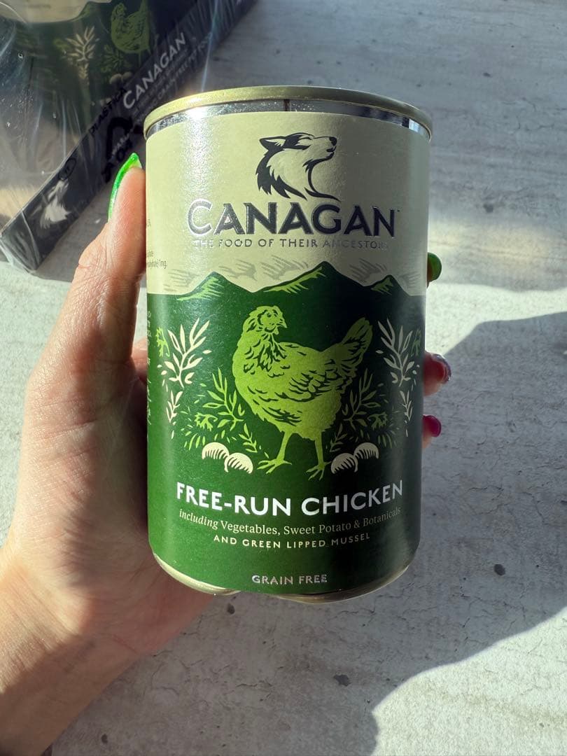 CANAGAN チキン　ウェットフードドッグフード 400g x 6缶