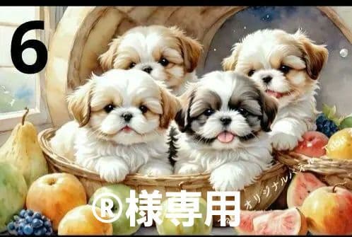 Tabit様パネル