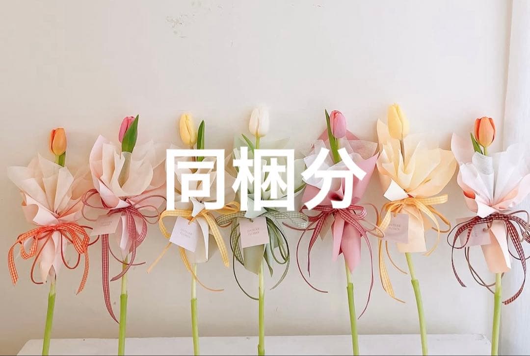 芽吹様追加分