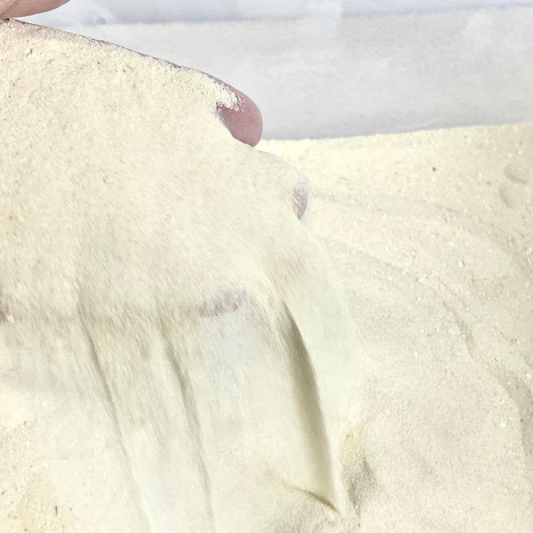 【天然】パラオ産 珊瑚砂 8kg 極細サイズ