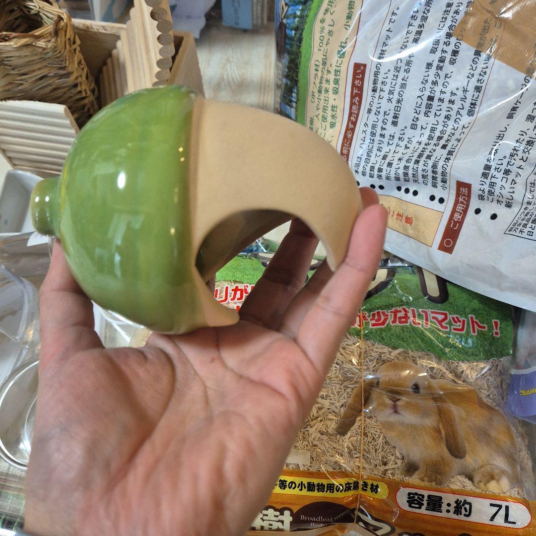 超お得！ハムスター飼育セット