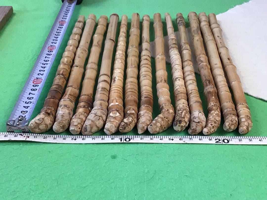 釣り具・その他グリップ用布袋竹「細・根付き・芽取り済み」13本セット