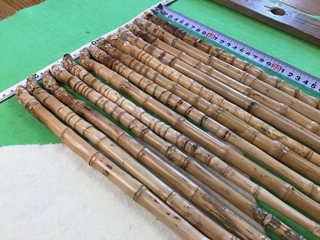 釣り具・その他グリップ用布袋竹「細・根付き・芽取り済み」13本セット