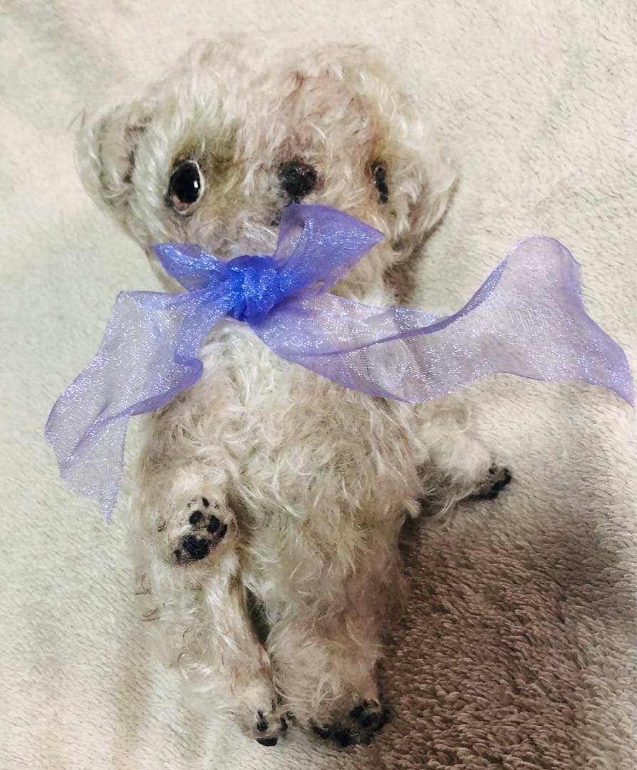 作家様　ハンドメイド　ぬいぐるみ　犬　ヨークシャテリア　プードル