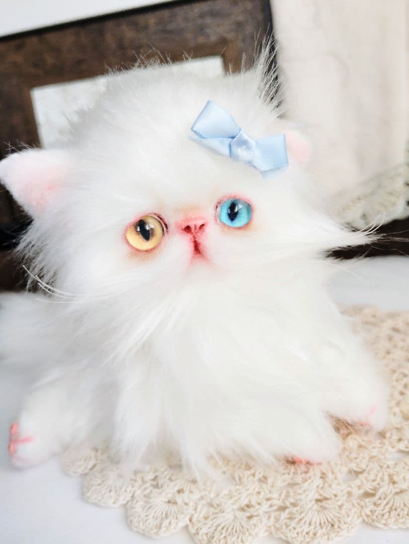 オッドアイ♡エキゾチック双子の子猫ちゃん♡アートドール♡ぬいぐるみ♡