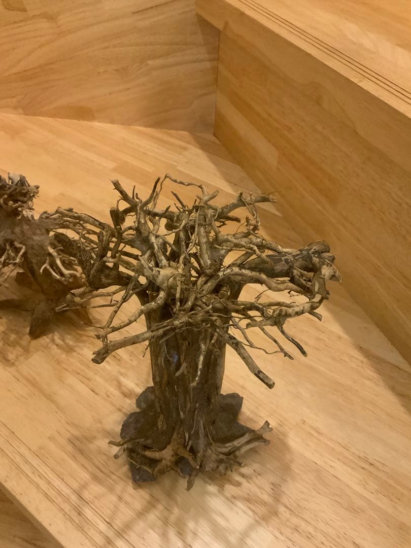 盆栽　流木　2本
