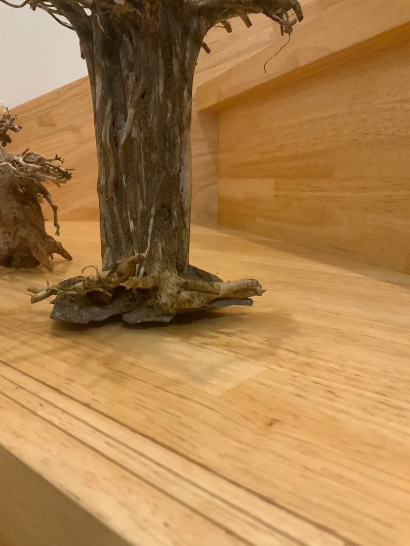 盆栽　流木　2本