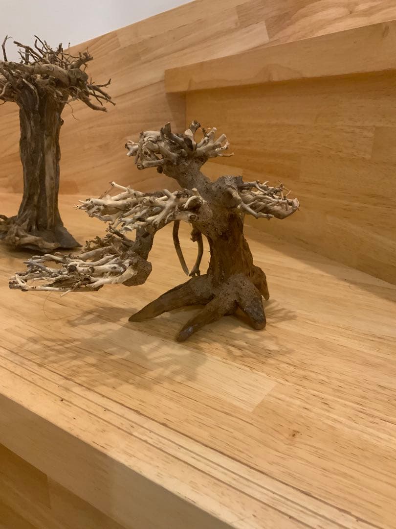 盆栽　流木　2本