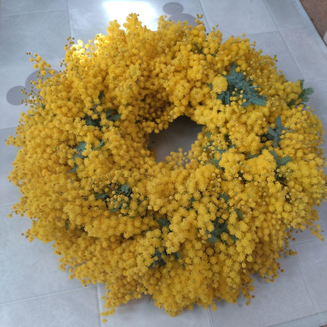 フレッシュ ミモザリース 28㎝ ハンドメイド ドライフラワー ミモザ