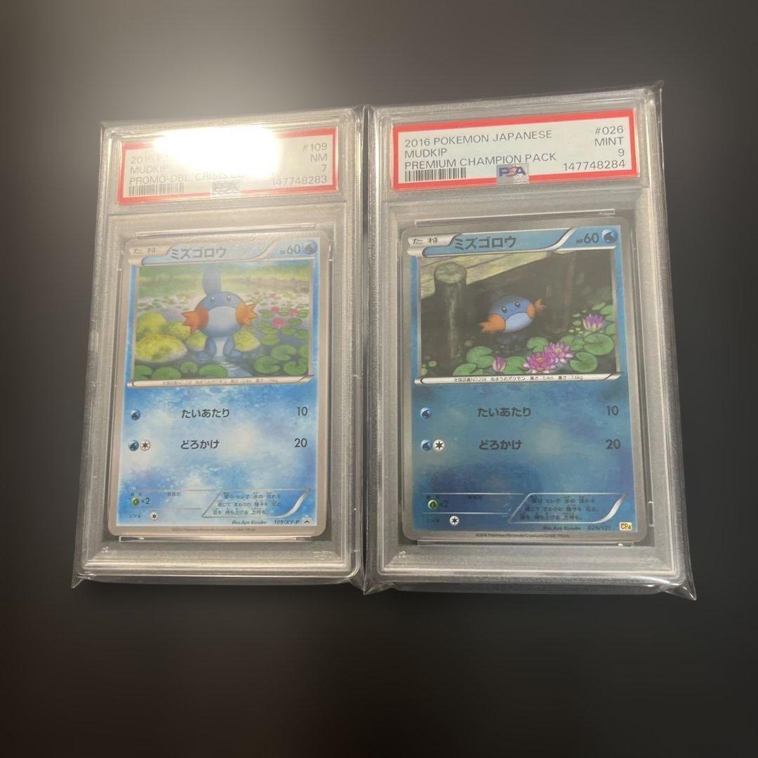 psa 2枚　ミズゴロウ　2016年 XY & プレミアムチャンピオンパック