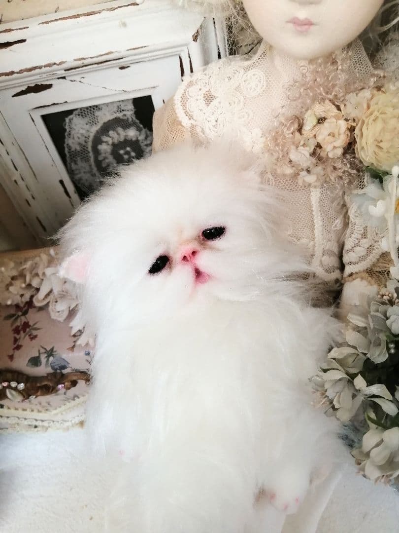 ポッケにゃん♡ベビー♡子猫ちゃん♡アートドール♡ぬいぐるみ♡