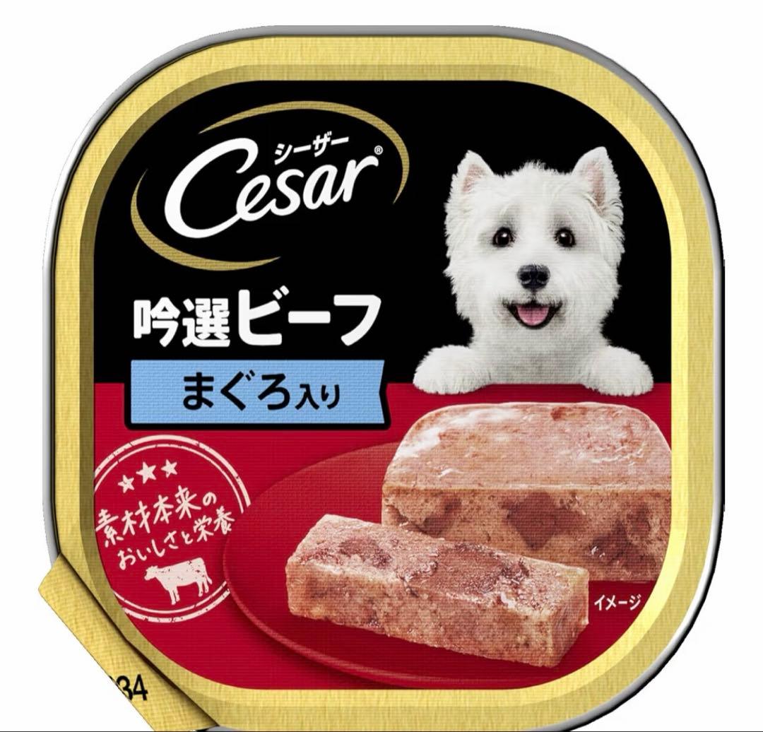 新品未開封　Cesar シーザー　まぐろ味ビーフ48缶セット