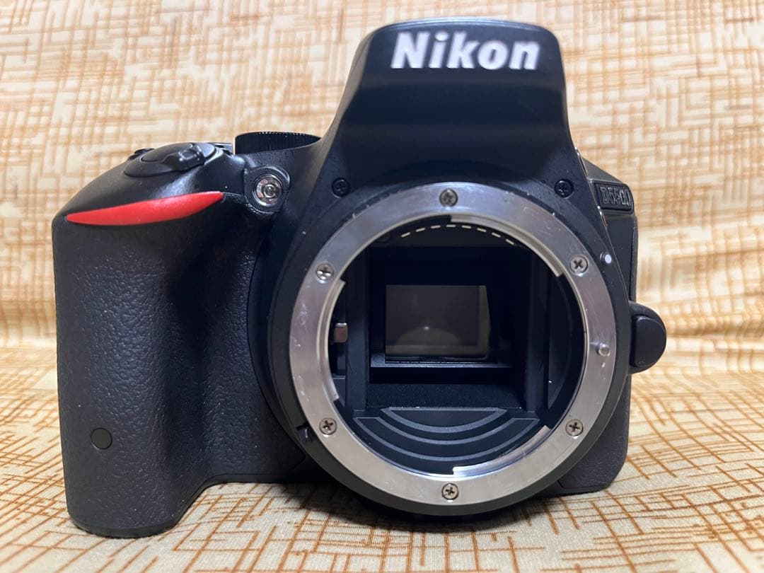 【美品！ショット数964枚！】Nikon D5500 18-55レンズキット
