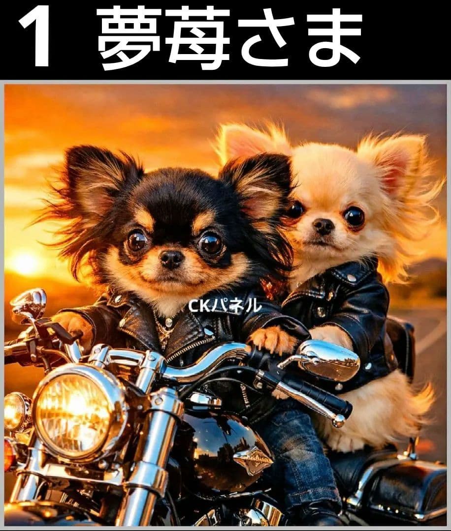 オーダーページ　ハンカチ51 バイクわんこ柄　ハンドメイド3/17