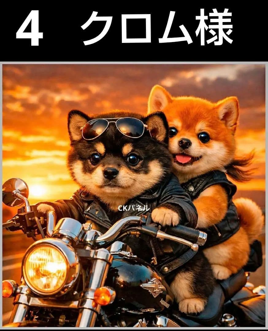 オーダーページ　ハンカチ51 バイクわんこ柄　ハンドメイド3/17