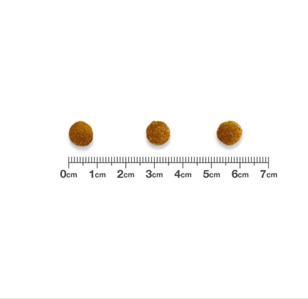 【2袋】ベッツワンベテリナリー 猫用 消化器ケア 可溶性繊維 チキン 2kg✖️2