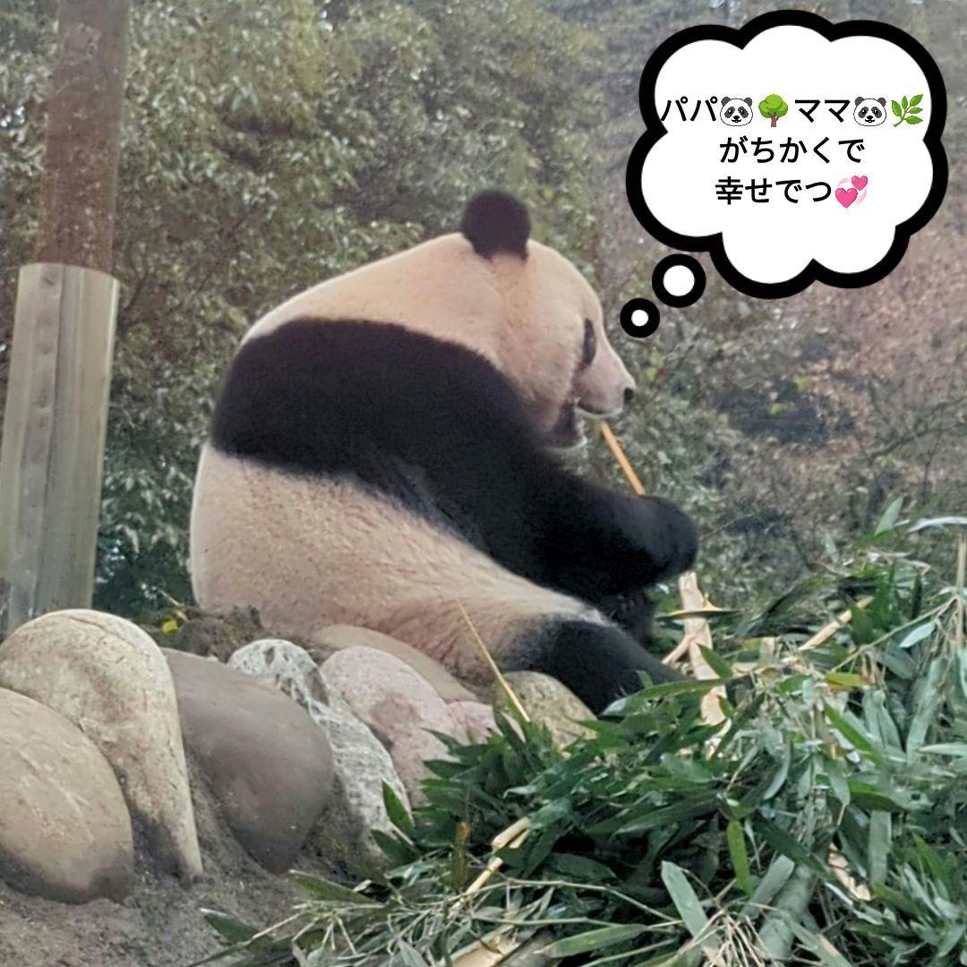 2025年☆明けましておめでとうございます☆