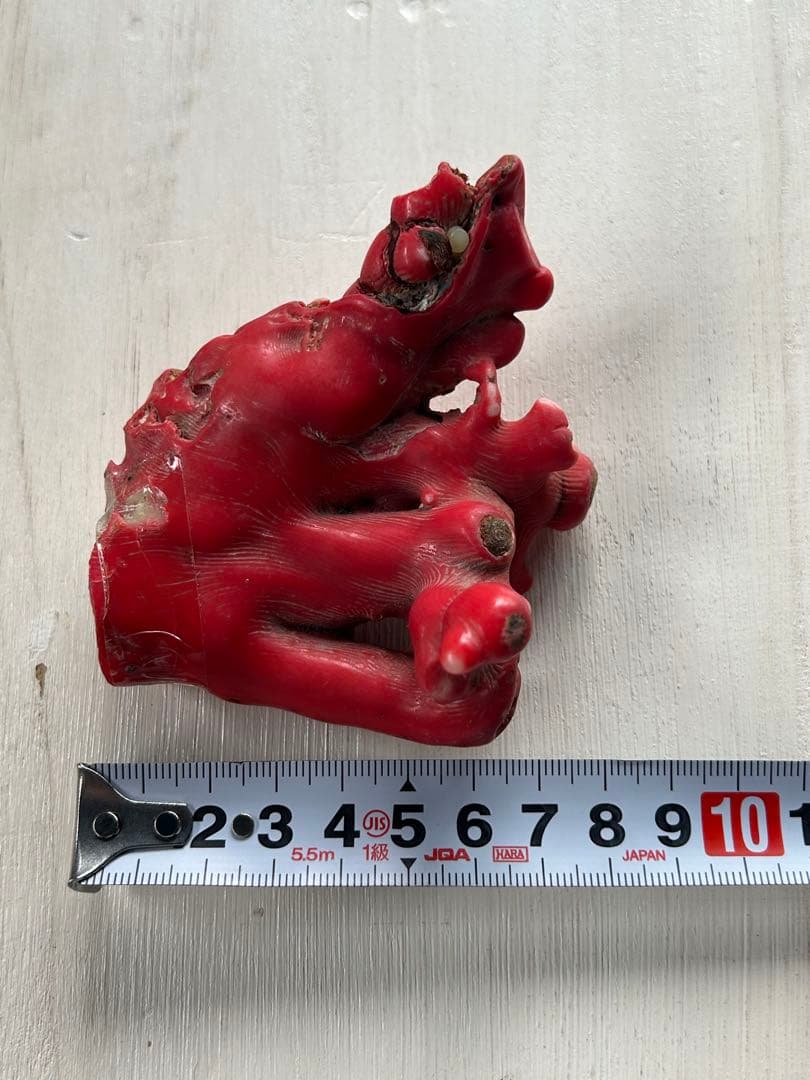 赤珊瑚　赤いコーラルの置物