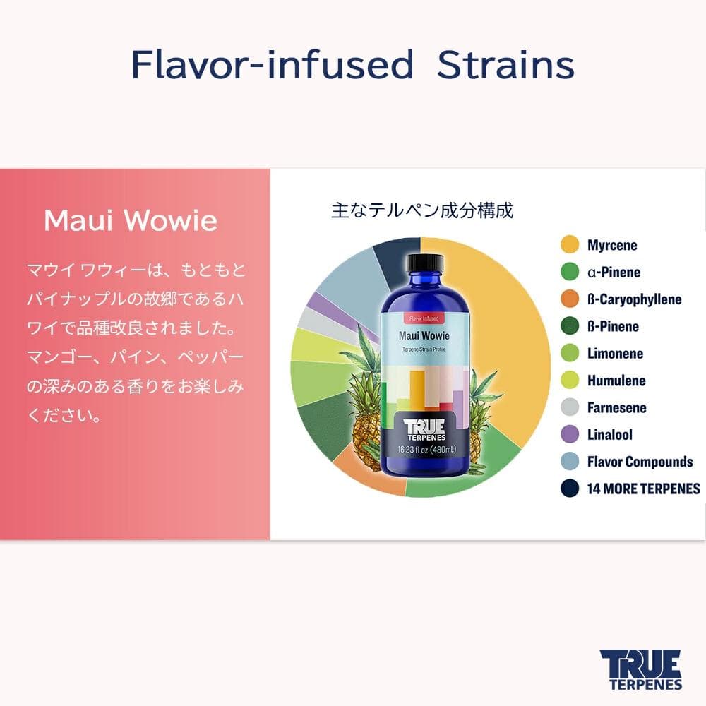 TRUE テルペン アトマイザー CBD CBN CBG 10ml マウイワウイ