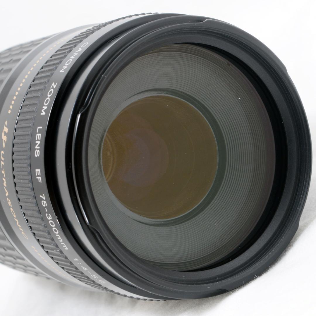 ★良品★Canon キャノン EF 75-300mm F4-5.6 USM