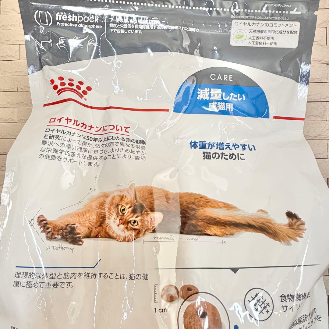 迅速発送　ロイヤルカナン 3kg FCN ライト ウェイト ケア 減量したい成猫